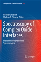 Claudi Cancellieri, Claudia Cancellieri, N Strocov, N Strocov, Vladimir N. Strocov - Spectroscopy of Complex Oxide Interfaces