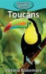Victoria Blakemore - Toucans