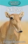 Victoria Blakemore - Saigas