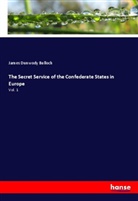 James Dunwody Bulloch - The Secret Service of the Confederate States in Europe