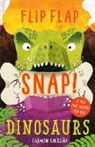 Joanna McInerney, Carmen Saldana - Flip Flap Snap: Dinosaurs