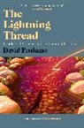 DAVID PROFUMO, David Profumo, Profumo David - Lightning Thread