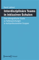 Michael Fehr, David Labhart, Michae Thompson - Interdisziplinäre Teams in inklusiven Schulen
