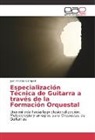 Juan Andrés Ciámpoli - Especialización Técnica de Guitarra a través de la Formación Orquestal