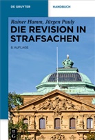 Raine Hamm, Rainer Hamm, Jürgen Pauly - Die Revision in Strafsachen