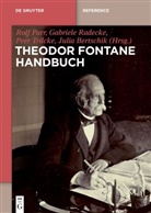 Julia Bertschik, Rolf Parr, Gabriel Radecke, Gabriele Radecke, Peer Trilcke, Peer Trilcke u a - Theodor Fontane Handbuch, 2 Teile