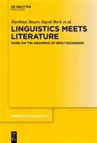 Nadine Bade, Matthia Bauer, Matthias Bauer, Sigri Beck, Sigrid Beck, Saskia Brockmann... - Linguistics Meets Literature