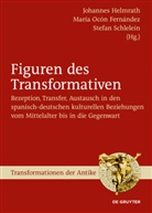 Johannes Helmrath, Marí Ocón Fernández, Maria Ocón Fernández, María Ocón Fernández, Stefan Schlelein - Figuren des Transformativen