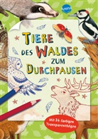 Hans-GÃ¼nther DÃ¶ring, Hans-Günther Döring, Hans-Günther Döring - Tiere des Waldes zum Durchpausen