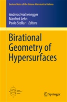 Andreas Hochenegger, Manfre Lehn, Manfred Lehn, Paolo Stellari - Birational Geometry of Hypersurfaces