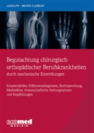 Elma Ludolph, Elmar Ludolph, Michael Meyer-Clement - Begutachtung chirurgisch-orthopädischer Berufskrankheiten durch mechanische Einwirkungen