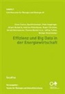 Henrik Bayer, Thomas et al. Bischof, Rupert Christian, Michael Hirschbichler, Monik Hirschmugl-Fuchs, Kepplinger... - Effizienz und Big Data in der Energiewirtschaft