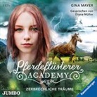 Gina Mayer, Diana Müller - Pferdeflüsterer-Academy -  Zerbrechliche Träume, 2 Audio-CDs (Hörbuch)
