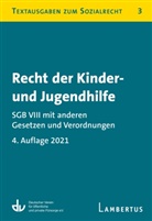 Deutscher Verein für öffentliche und private Fürsorge e.V., Lamber, Lambertus-Verlag, Deutsche Verein für öffentliche und priva, Deutscher Verein für öffentliche und priva - Recht der Kinder- und Jugendhilfe