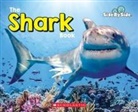 Pamela Chanko - The Shark Book (Side by Side)