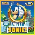 Aldo B. Jerkins, Penguin Young Readers Licenses, Brandon T. Snider - Meet Sonic!