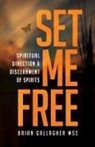 Brian Gallagher - Set Me Free