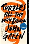 John Green - Turtles All the Way Down