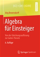 Jörg Bewersdorff - Algebra für Einsteiger