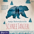 Antje Babendererde, Aleksandar Radenkovic, Carla Swiderski - Schneetänzer, 5 Audio-CDs (Hörbuch)