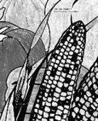 Hassan Khan - The Agreement: Five Stories by Hassan Khan