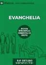 Ray Ortlund - The Gospel / Evanghelia
