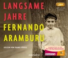 Fernando Aramburu, Frank Stöckle - Langsame Jahre, 2 MP3-CDs (Audio book)