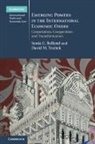 Sonia E. Rolland, Sonia E. (Northeastern University Rolland, Rolland Sonia E., David M. Trubek, David M. (University of Wisconsin Trubek, Trubek David M. - Emerging Powers in the International Economic Order