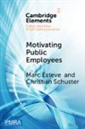 Marc Esteve, Marc (University College London) Schuster Esteve, Christian Schuster - Motivating Public Employees