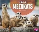 Martha E H Rustad, Martha E. H. Rustad, Martha Elizabeth Hillman Rustad - A Mob of Meerkats