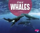 Lucia Raatma, Lucia Tarbox Raatma - A Pod of Whales