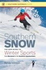 Randy Johnson - Southern Snow