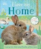 Dk, Phonic Books - I Love My Home