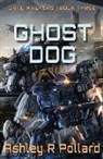 Ashley R Pollard - Ghost Dog