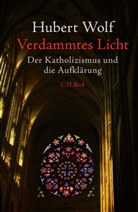 Hubert Wolf - Verdammtes Licht