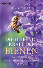 Jörg Zittlau - Die heilende Kraft der Bienen