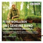 Peter Wohlleben, Peter Kaempfe - Das geheime Band zwischen Mensch und Natur, 5 Audio-CDs (Hörbuch)