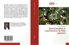 Sylvain-Ulrich Obame - Décentralisation et reconstruction de l'Etat gabonais