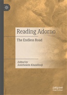 Amirhosei Khandizaji, Amirhosein Khandizaji - Reading Adorno