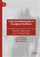 Jona Axelsson, Jonas Axelsson, Jan C Karlsson, Jan Ch Karlsson, Jan Ch. Karlsson, Egil J Skorstad... - Collective Mobilization in Changing Conditions