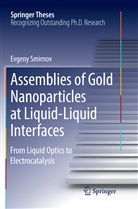 Evgeny Smirnov - Assemblies of Gold Nanoparticles at Liquid-Liquid Interfaces