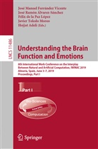 Hojjat Adeli, José Ramón Álvarez-Sánchez, José Ramón Álvrez-Sánchez, Félix de la Paz López, de la Paz López et al, José Manuel Ferrández... - Understanding the Brain Function and Emotions