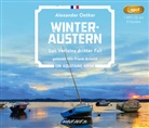 Alexander Oetker, Frank Arnold - Winteraustern, 1 MP3-CD (Hörbuch)