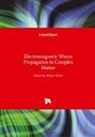 Ahme Kishk, Ahmed Kishk - Electromagnetic Waves
