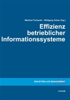 Wolfgang Ortner, Martin Tschandl, Wolfgang Ortner, Martin Tschandl - Effizienz betrieblicher Informationssysteme
