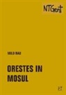 Milo Rau - Orestes in Mosul