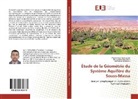 Benssaou, Mohamed Benssaou, Lhoussain Bouchaou, Lhoussaine Bouchaou, Mohamme Hssaisoune, Mohammed Hssaisoune - Étude de la Géométrie du Système Aquifère du Souss-Massa