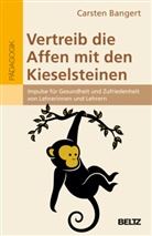 Carsten Bangert - Vertreib die Affen mit den Kieselsteinen