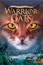 Erin Hunter, Friederike Levin - Warrior Cats - Vision von Schatten. Wütender Sturm