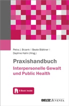 Beate Blättner, Petra Brzank, Daphne Hahn - Praxishandbuch Interpersonelle Gewalt und Public Health